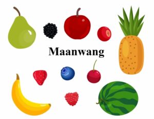 A book called Maanwang
