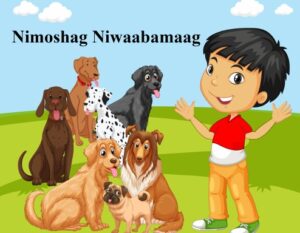 A Book called Nimoshag Niwaabamaag